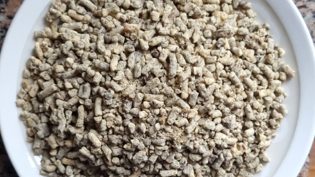 Proteiinipitoisia ruokia – mistä eniten proteiinia arkeen?